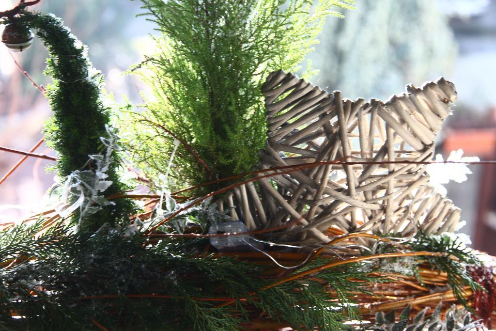 Bed & Breakfast Don Carlos San Martino di Lupari Exterior photo